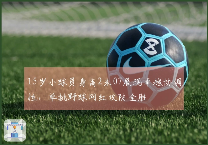 15岁小球员身高2米07展现卓越协调性，单挑野球网红攻防全胜