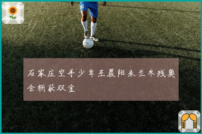 石家庄空手少年王晨阳米兰冬残奥会斩获双金