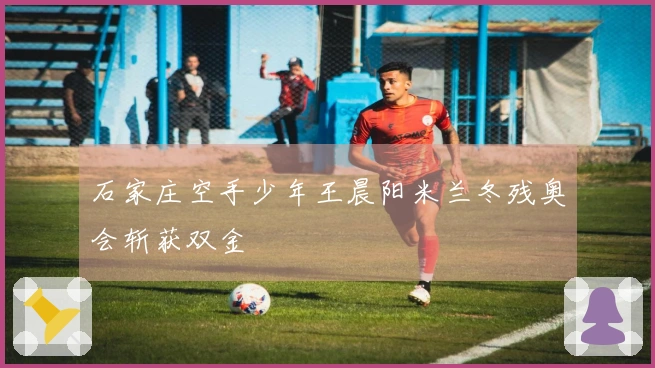 石家庄空手少年王晨阳米兰冬残奥会斩获双金